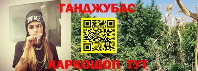 прущие грибы Вязники
