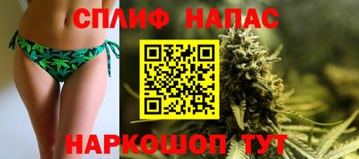 прущие грибы Вязники