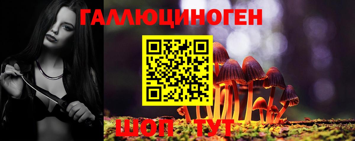 Реутов  Псилоцибиновые грибы Psilocybine cubensis  как найти закладки  Вход с VPN 