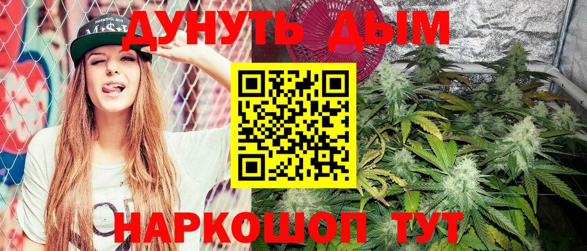 Каннабис планчик  МАРИХУАНА White Widow  Конопля семена  Вход с VPN  Реутов 